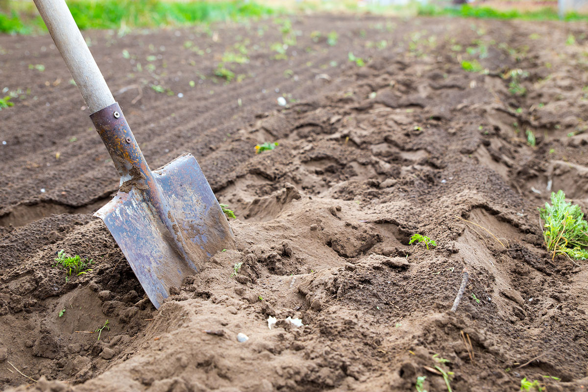 good-earth-dig